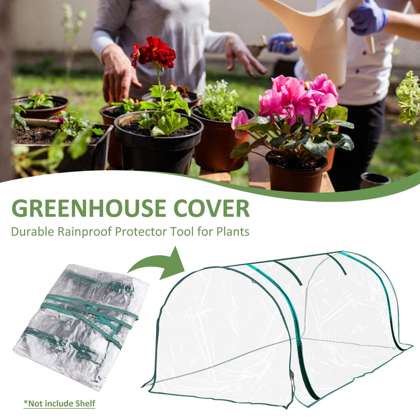 Small Greenhouse For Plants