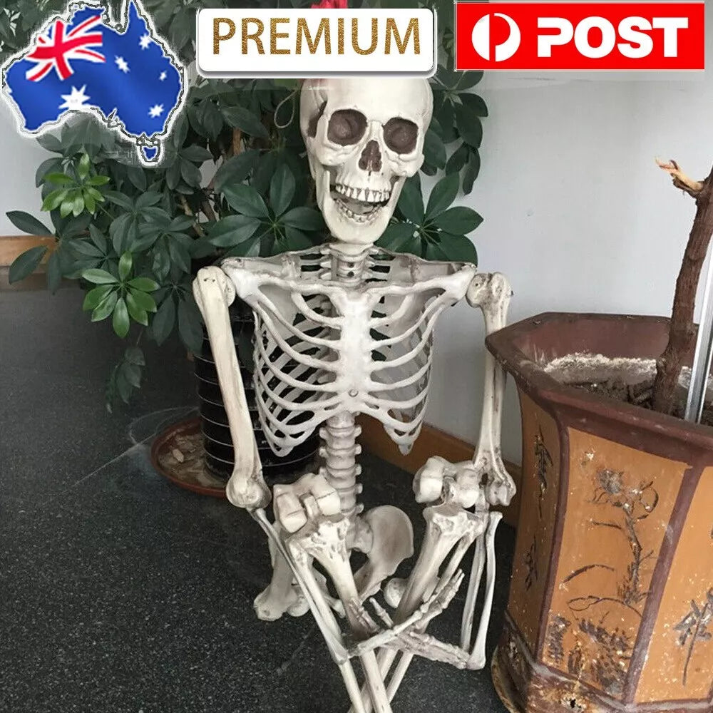 Full Life Size Halloween Movable Skeleton