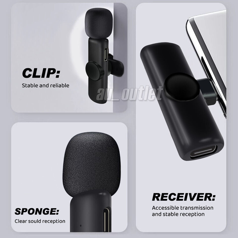 2 Wireless Microphone