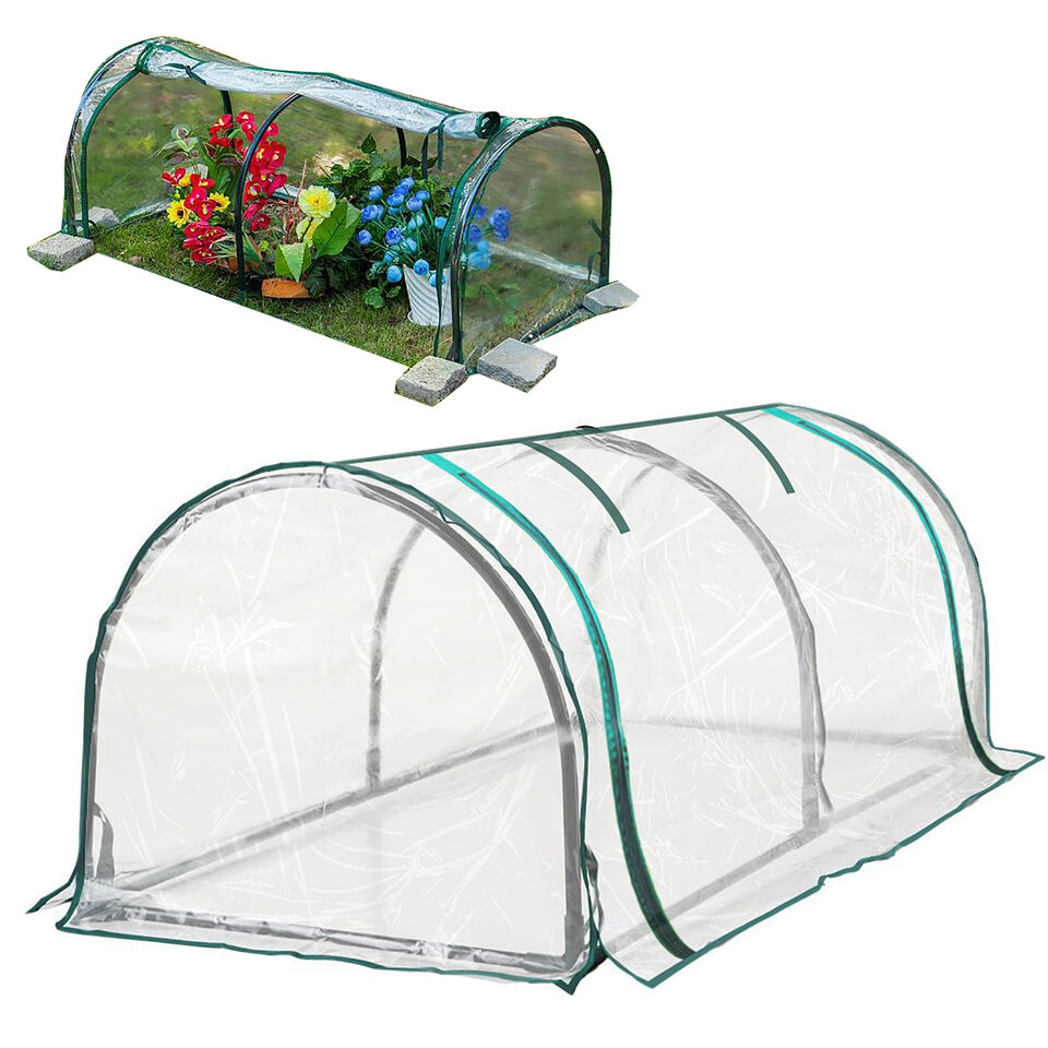 Small Greenhouse For Plants