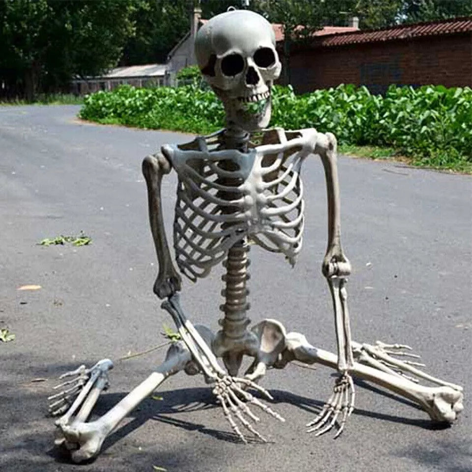 Full Life Size Halloween Movable Skeleton