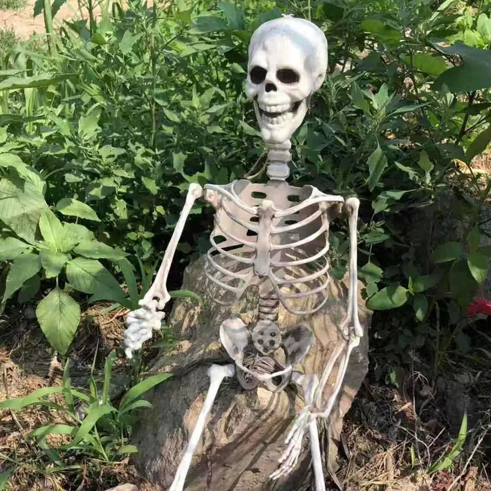 Full Life Size Halloween Movable Skeleton