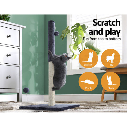 Cat Scratching Tree